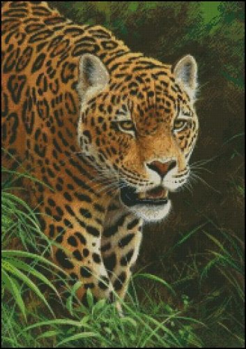 (image for) Jaguar